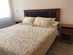 Departamento en Pucon